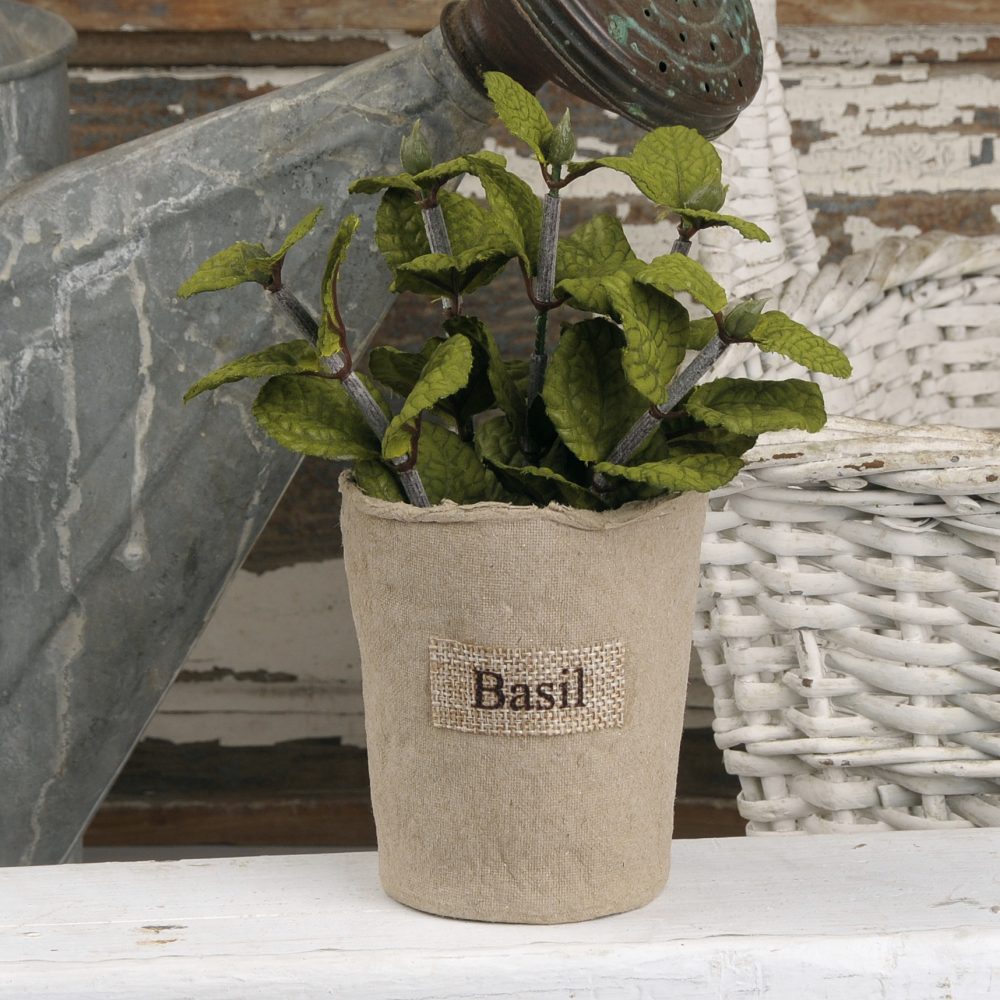 7.5" DARK GREEN MINT IN PAPER PLANTER (M4) - BB181-72565