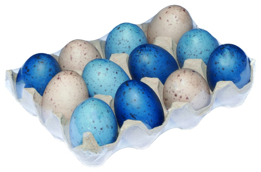 Blue Eggs