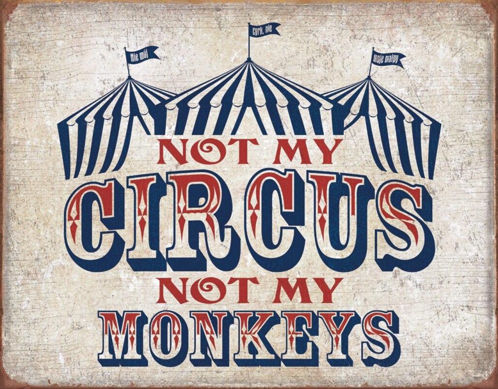 Not My Circus - TS2213