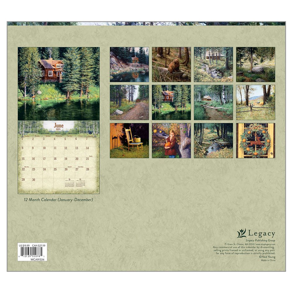 Woodland 2025 Calendar WCA91534 Dublin Design