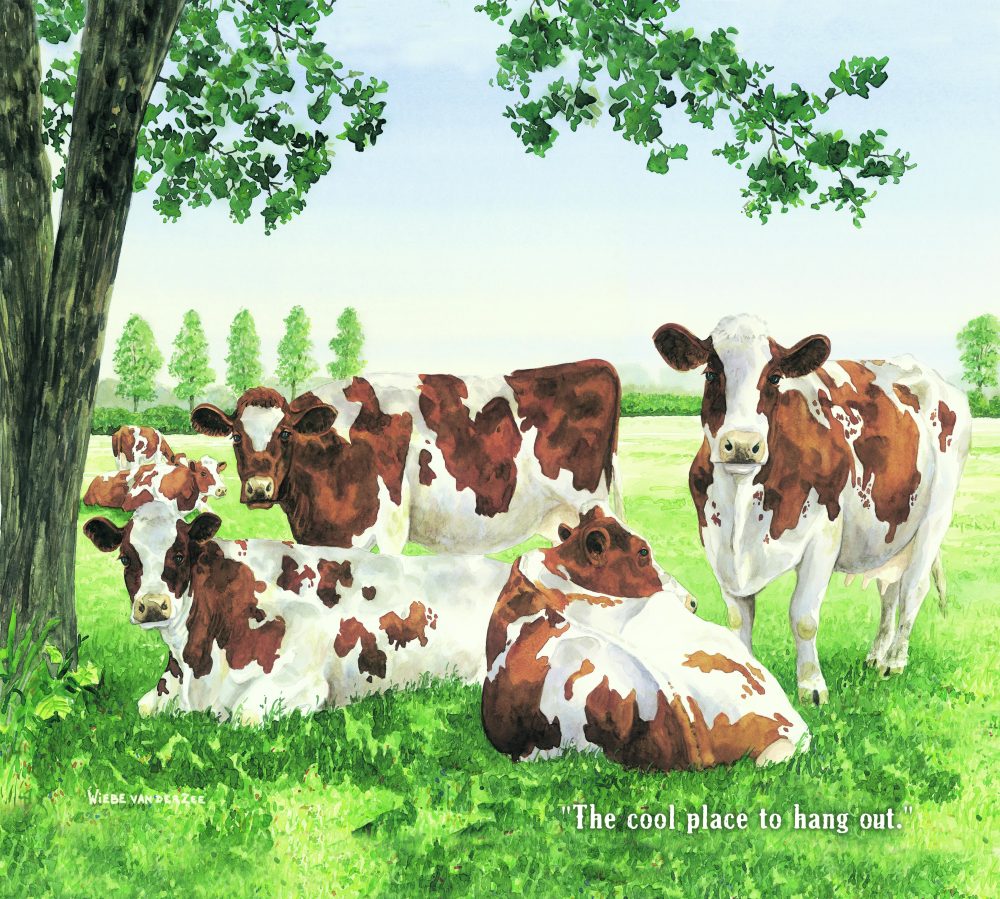 Cows in the Meadow - 2026 Legacy Calendar - WCA100190 - Image 3