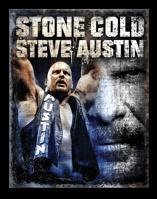 WWE - Steve - TS2898