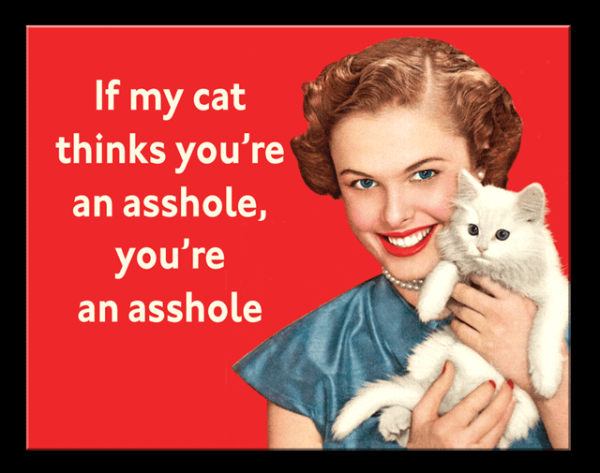 If My Cat - TS2909