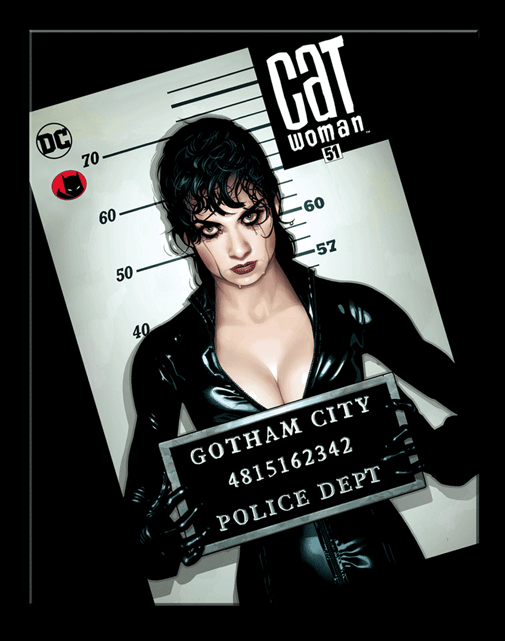 DC - Cat Woman - TS2916