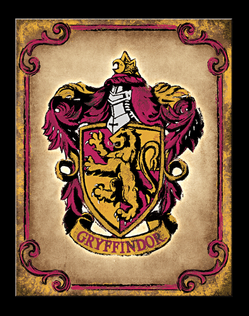 Harry Potter - Gryffindor - TS2926