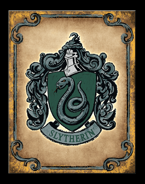 Harry Potter - Slytherin - TS2928
