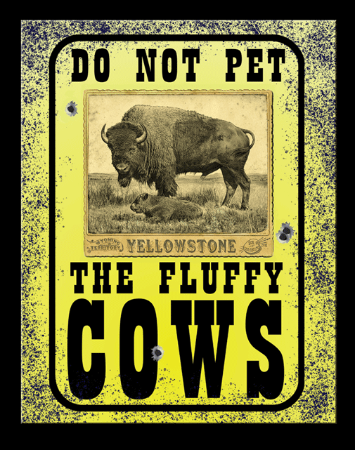 Fluffy Cows - TS2944