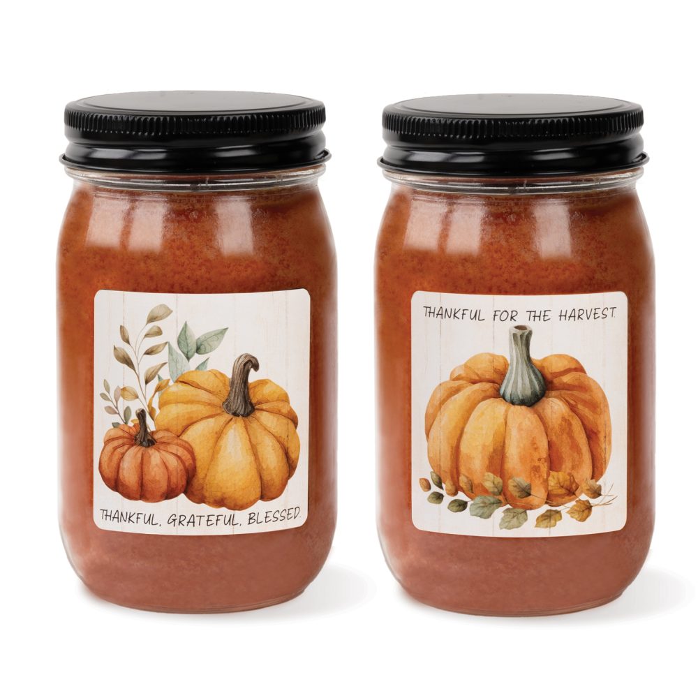 Fall Pre-Pack - 12 Pieces - All Maple Pumpkin Donut - BB256-20431