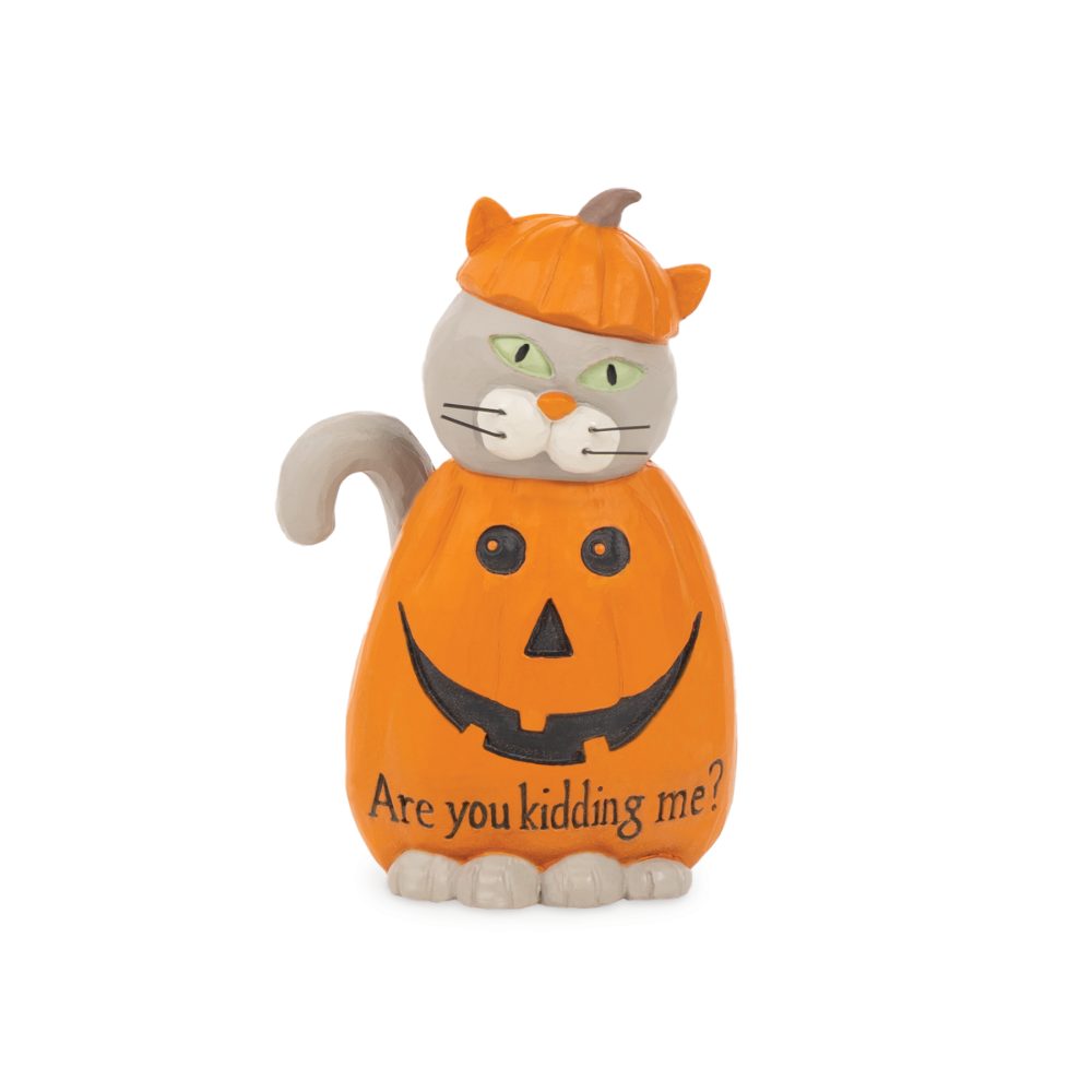 Are You Kidding Me Cat in Pumpkin Costume - BB256-14421